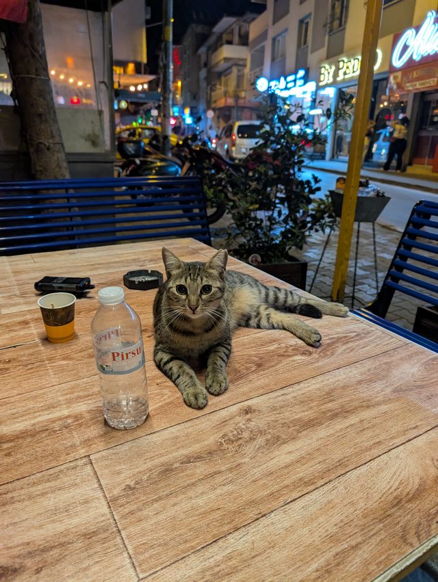 A tabby cat lying sprawled on a wooden table at night, front legs stretched out, looking directly at the camera. A water bottle, disposable cup, and lighter sit on the table nearby. A lively night street with neon signs and parked motorcycles fills the background.
