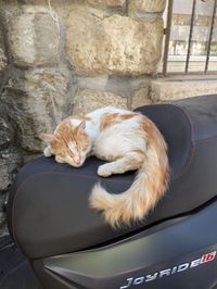 A white and orange cat curled up asleep on the black seat of a parked scooter in front of a stone wall.
