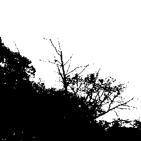 Rain by Sadness