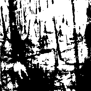 semantics: the benzo chronicles by goreshit