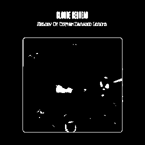 Melody of Certain Damaged Lemons by Blonde Redhead