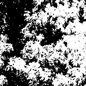 Circle of Veins by Sadness