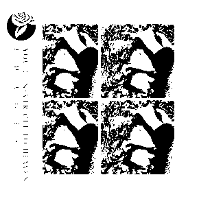 Images by You’ll Never Get to Heaven