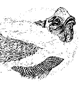 Little Victories by Krobak