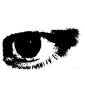 My Heart the Dreaming Memory by life