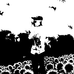 Flower Boy by Tyler, The Creator