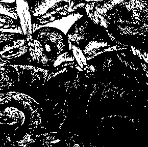 Nightbound by Krobak